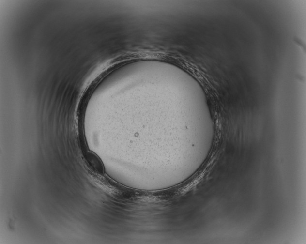 X0000097820246200804041405