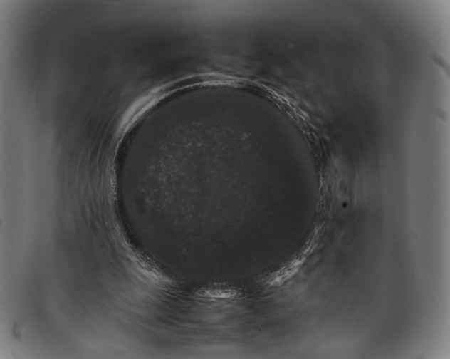 X0000097820247200804041405