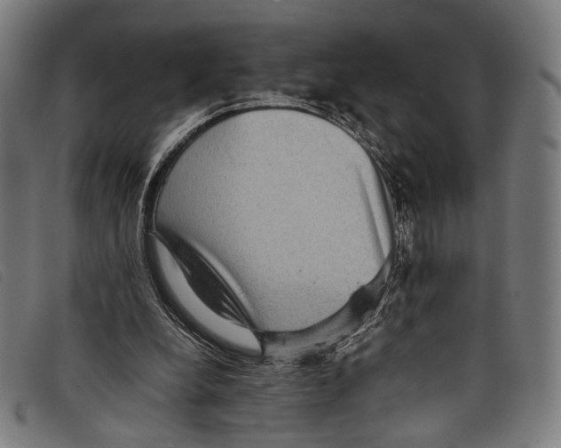 X0000097820248200804041405