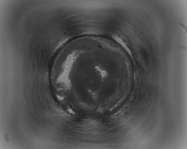 X0000097820249200804041405