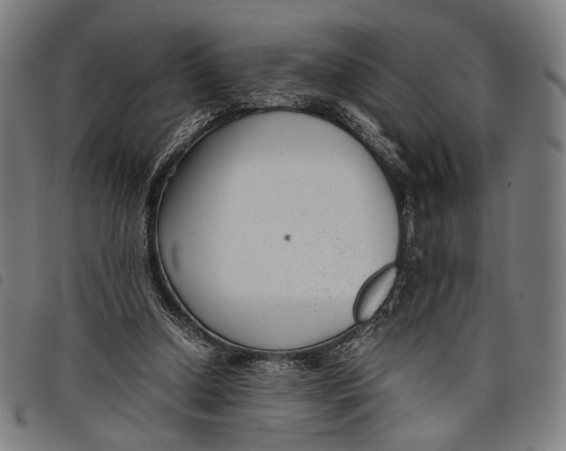 X0000097820250200804041405