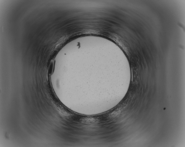 X0000097820253200804041405