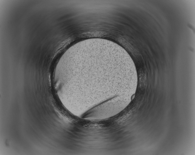 X0000097820254200804041405