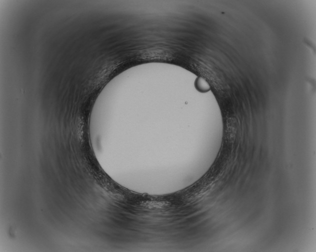 X0000097820255200804041405