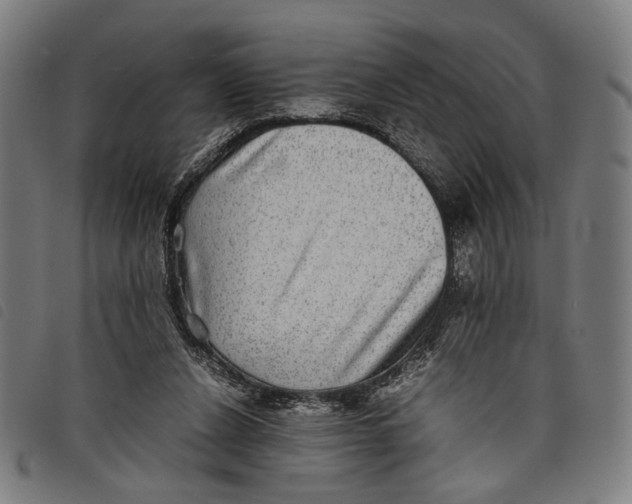 X0000097820256200804041405