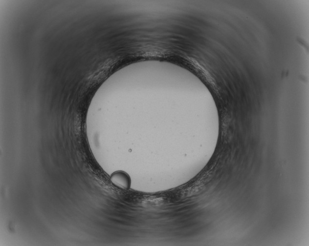 X0000097820257200804041405