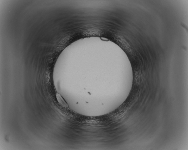 X0000097820259200804041405