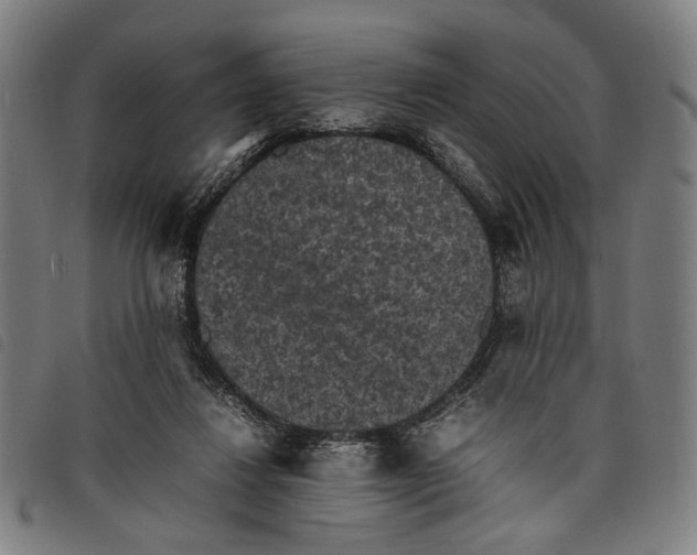 X0000097820260200804041405