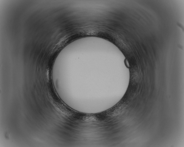 X0000097820262200804041405