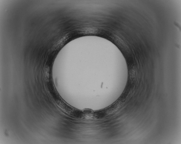 X0000097820264200804041405