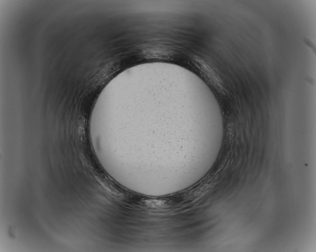 X0000097820265200804041405