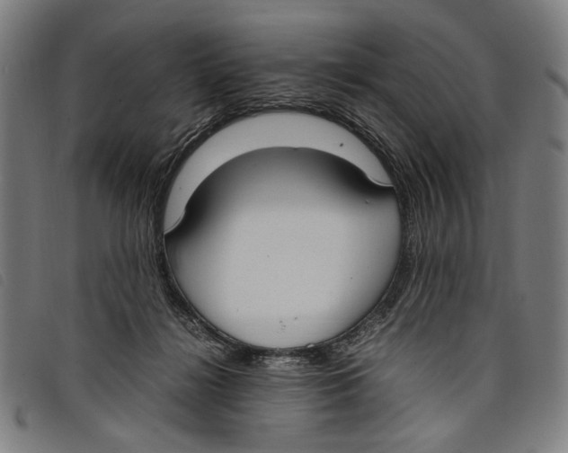 X0000097820268200804041405