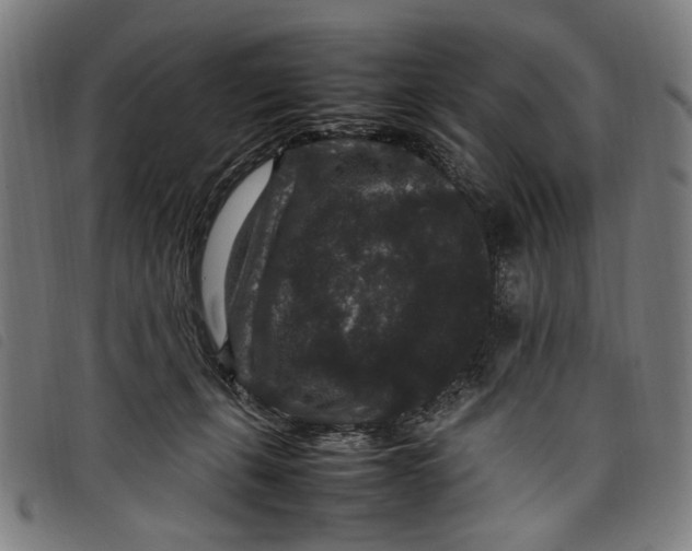 X0000097820271200804041405