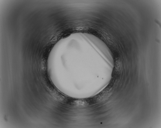 X0000097820272200804041405