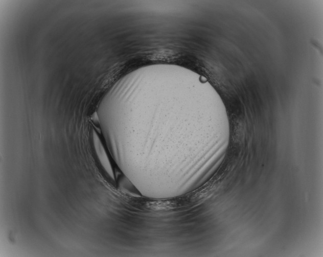 X0000097820273200804041406