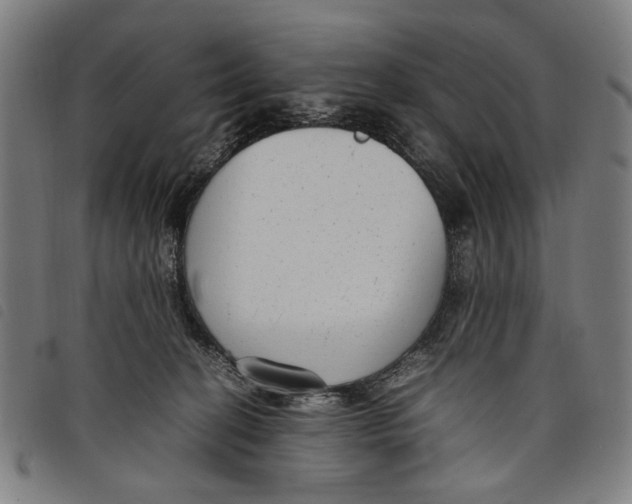 X0000097820274200804041406