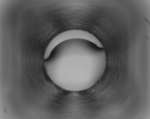 X0000097820276200804041406