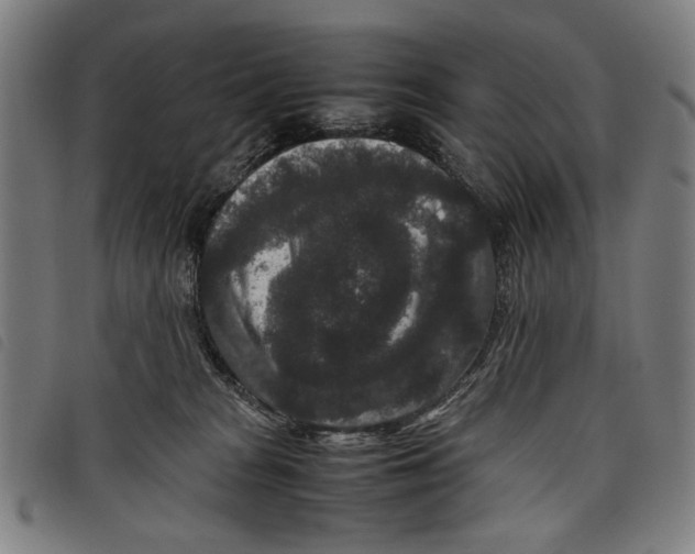 X0000097820277200804041406