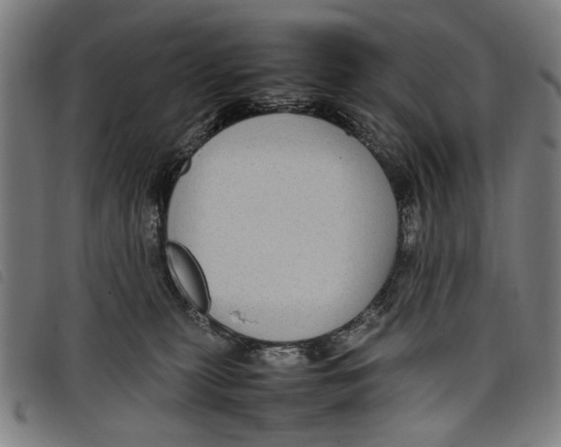 X0000097820279200804041406