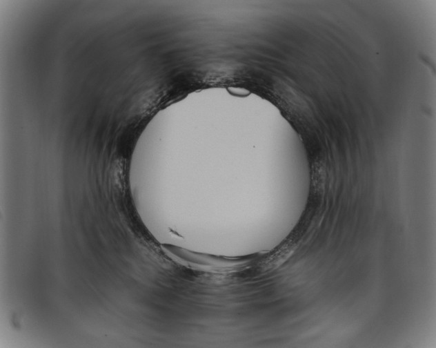 X0000097820280200804041406