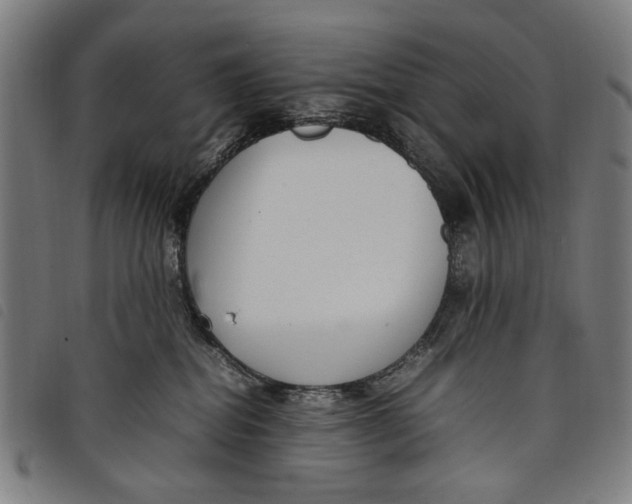 X0000097820282200804041406