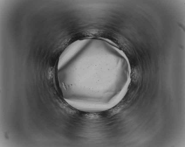 X0000097820284200804041406