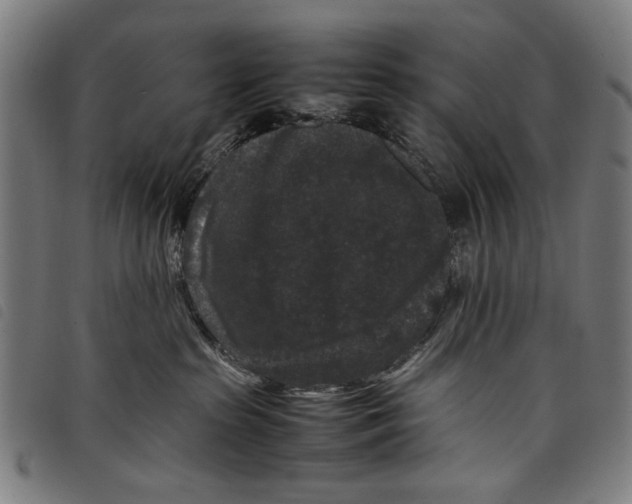 X0000097820285200804041406