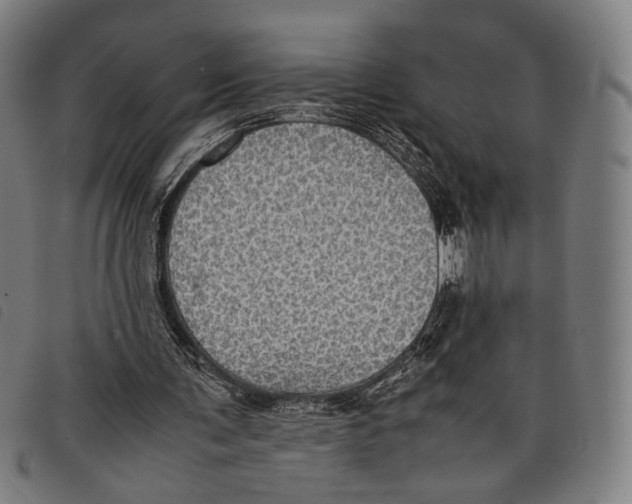 X0000097820291200804041405