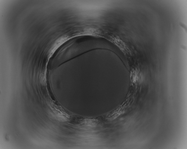 X0000097820292200804041405