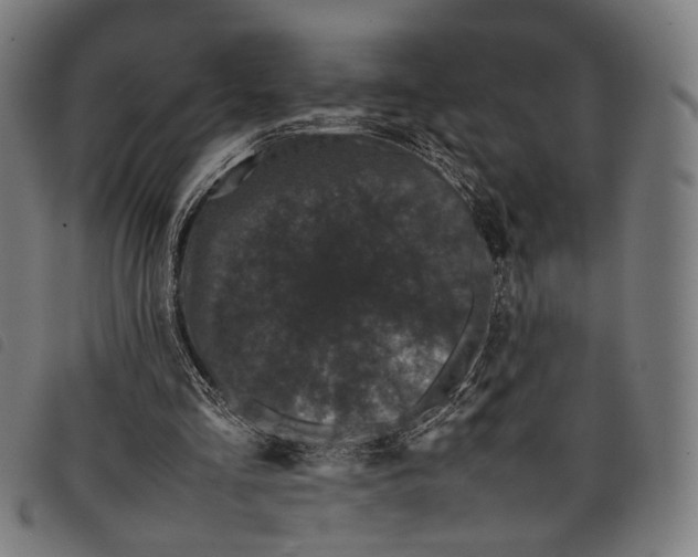 X0000097820293200804041405