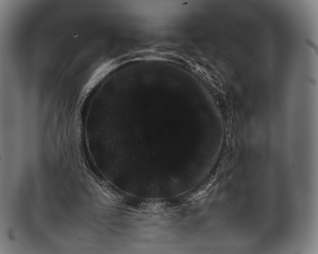 X0000097820295200804041405