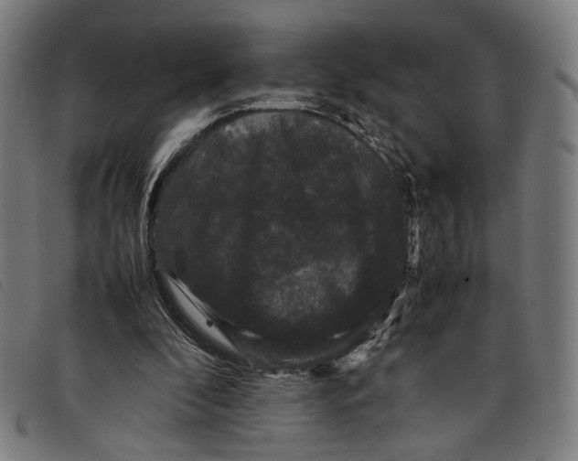 X0000097820296200804041405