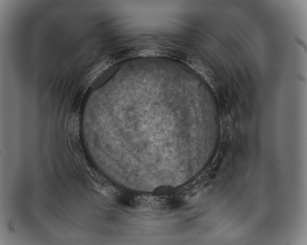 X0000097820297200804041405