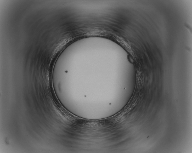 X0000097820298200804041405