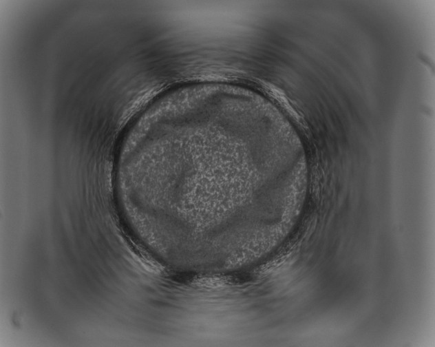 X0000097820299200804041405