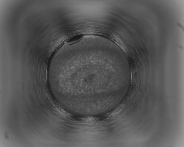 X0000097820301200804041405