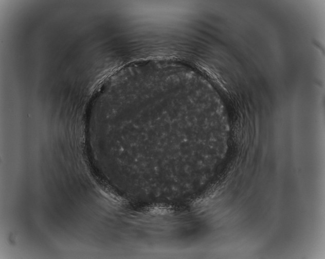 X0000097820303200804041405