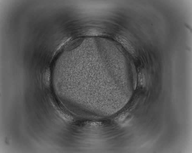 X0000097820304200804041405