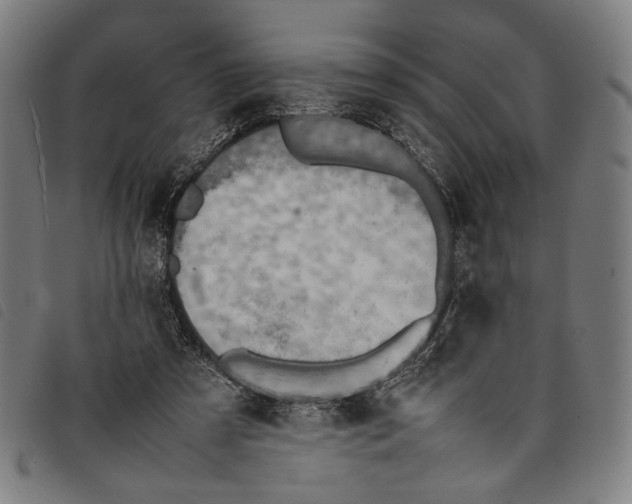 X0000097820305200804041405