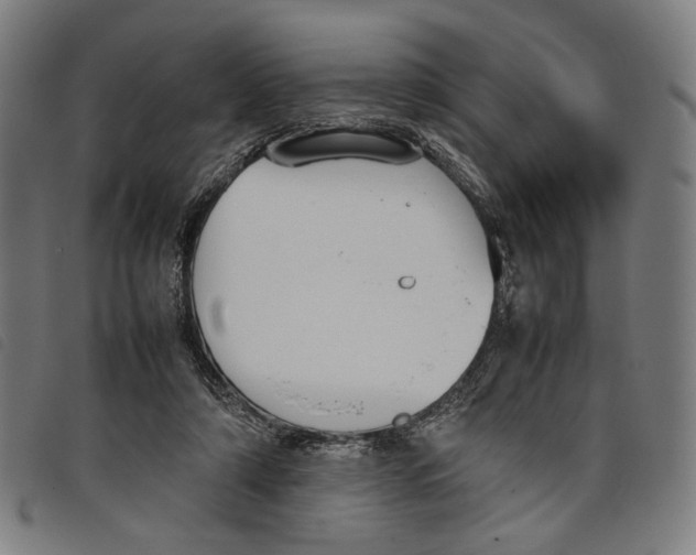 X0000097820306200804041405