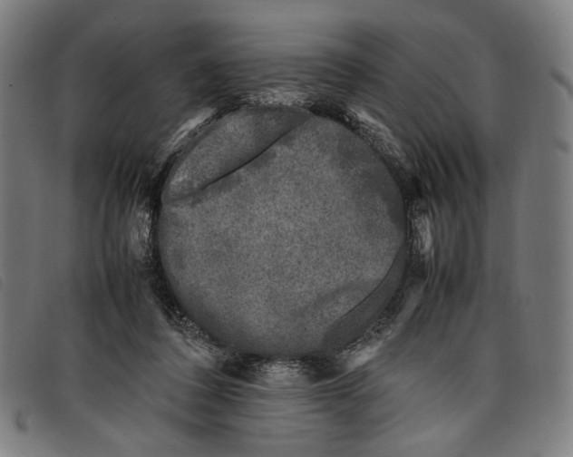 X0000097820308200804041405