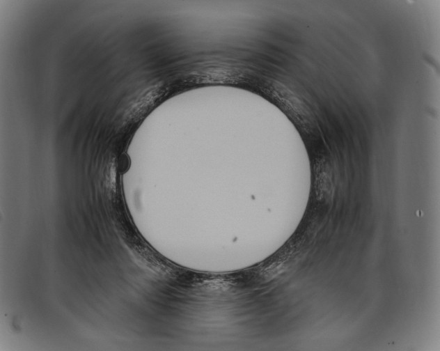 X0000097820310200804041405