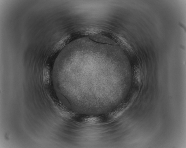 X0000097820312200804041405