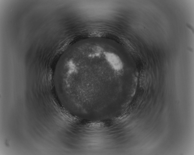 X0000097820314200804041405