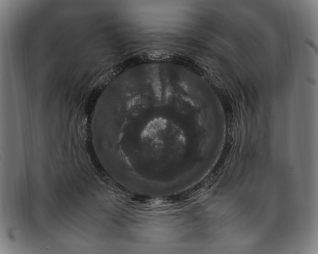 X0000097820319200804041405