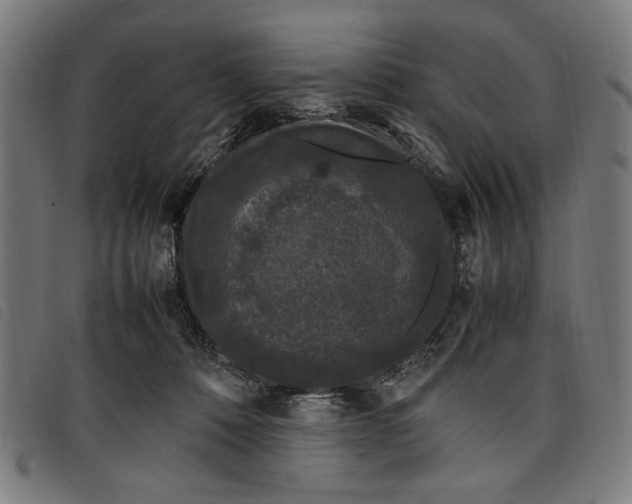 X0000097820320200804041405