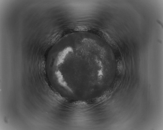 X0000097820322200804041405