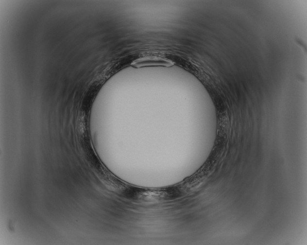 X0000097820323200804041405