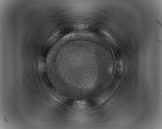 X0000097820324200804041405