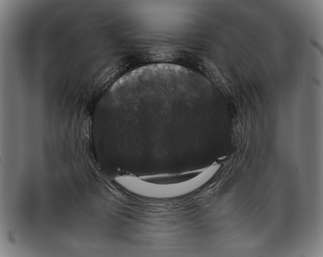 X0000097820325200804041405